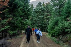 Hiking στην Κυψέλη
