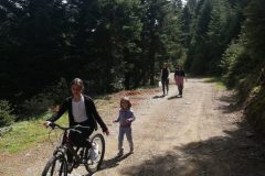 Hiking στα δάση της Κυψέλης