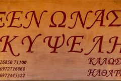 ΕΙΣΟΔΟΣ ΚΑΤΑΛΥΜΑΤΟΣ - ΚΑΛΩΣ ΗΛΘΑΤΕ
