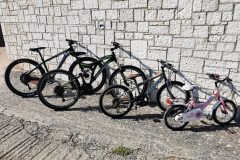 ΠΟΔΗΛΑΤΑ ΒΟΥΝΟΥ ΓΙΑ ΟΛΕΣ ΤΙΣ ΗΛΙΚΙΕΣ